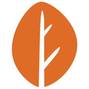 chillplaynet.com favicon